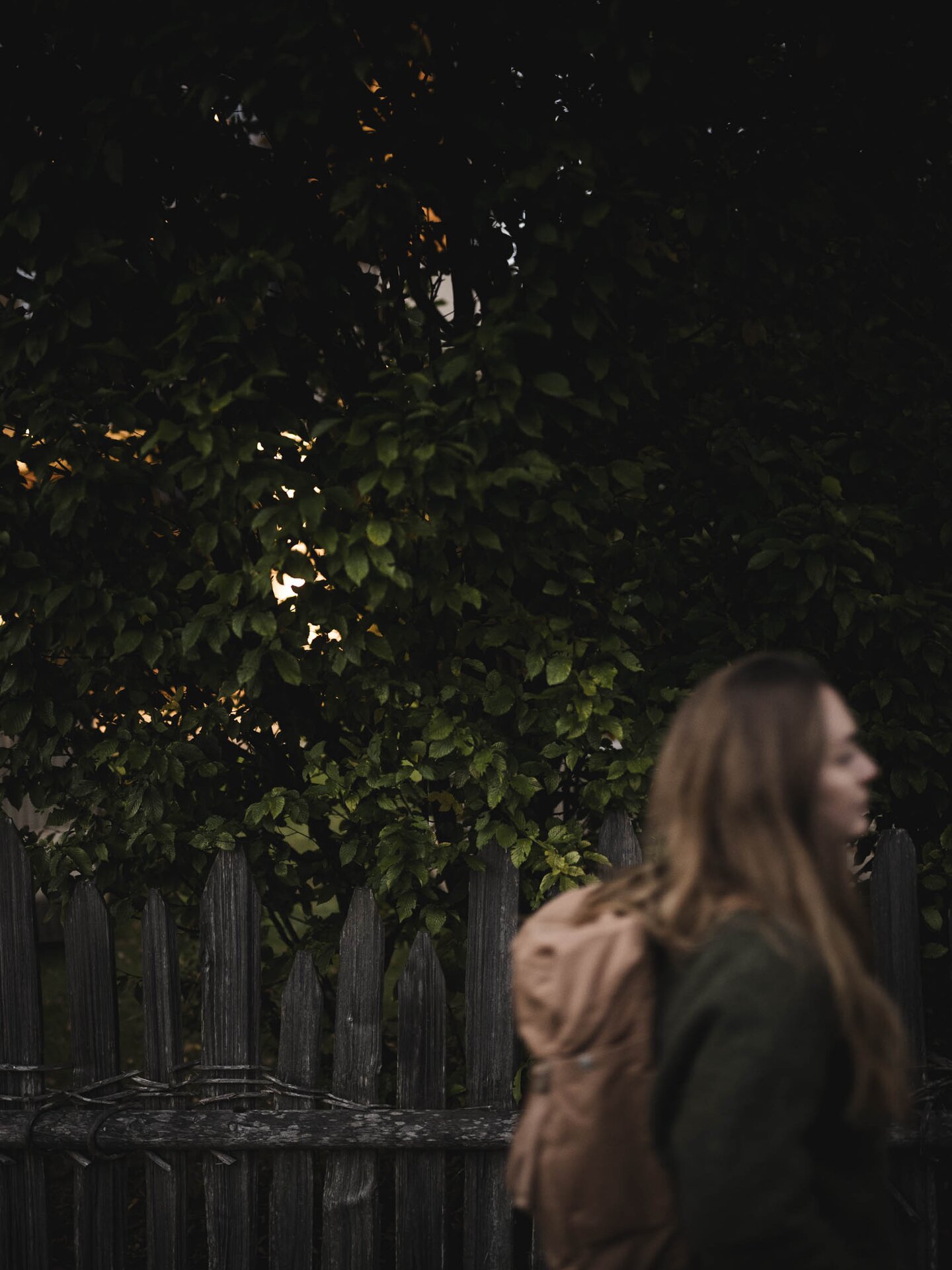 Person beim Wandern mit grünem Pullover vor grünen Sträuchern mit altem traditionellen Holzzaun im Hintergrund