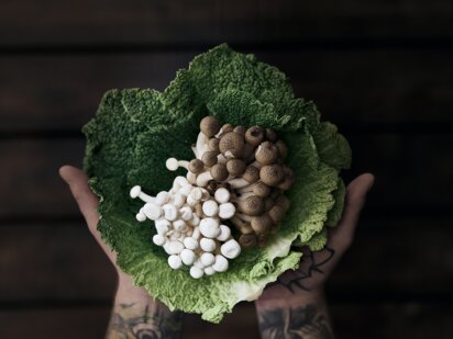 Pilze in Salatblatt in Händen, Organische Speisen | Der Engel in Tirol