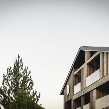 Gebäude Suites am Krautgarten im Abendlicht mit Nadelbaum im Vordergrund