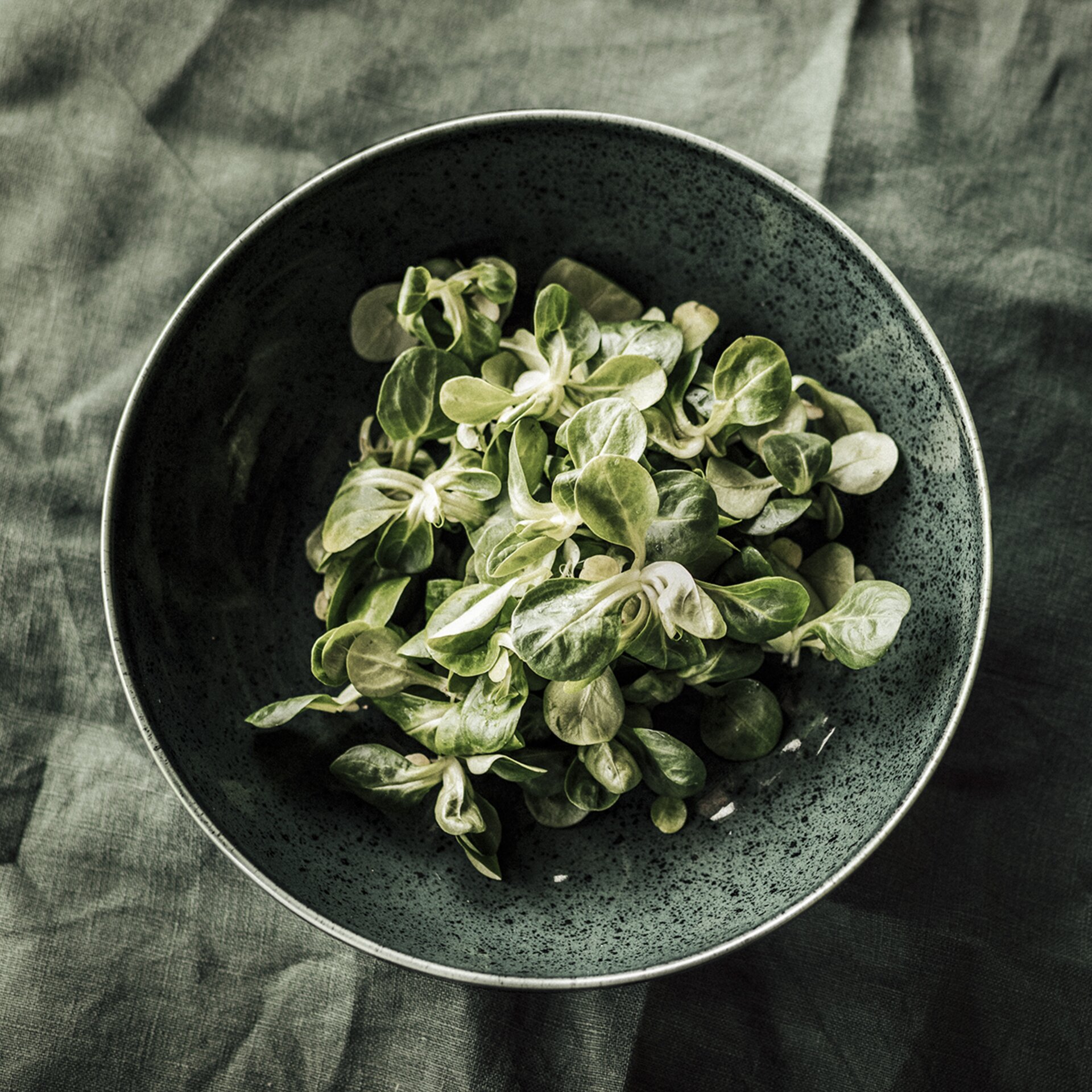 Grüne Ton Schüssel mit Vogerlsalat auf grüner Tischdecke, Organic | Der Engel in Tirol