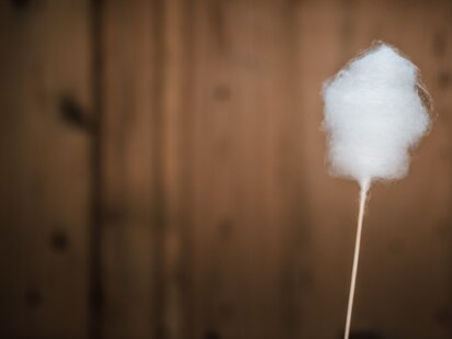 Zuckerwatte Stäbchen vor Holzwand | Der Engel in Tirol