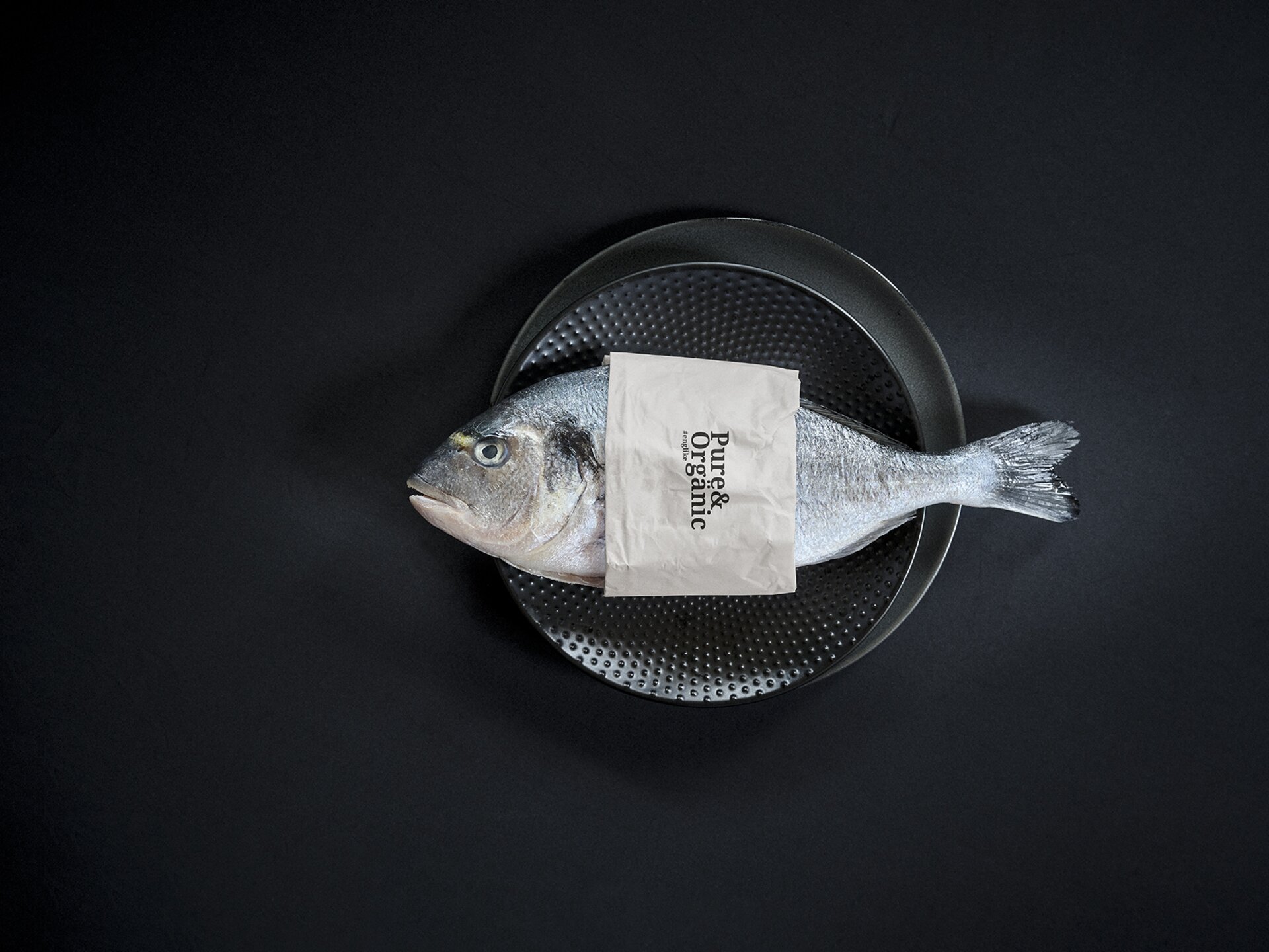 Fisch auf schwarzem Teller mit schwarzem Hintergrund, Organische Speisen | Der Engel in Tirol