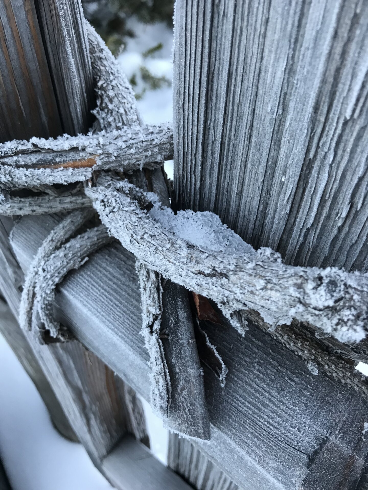 Traditioneller Tiroler handgemachter Holzzaun mit Frostschicht im Herbst | Der Engel in Tirol