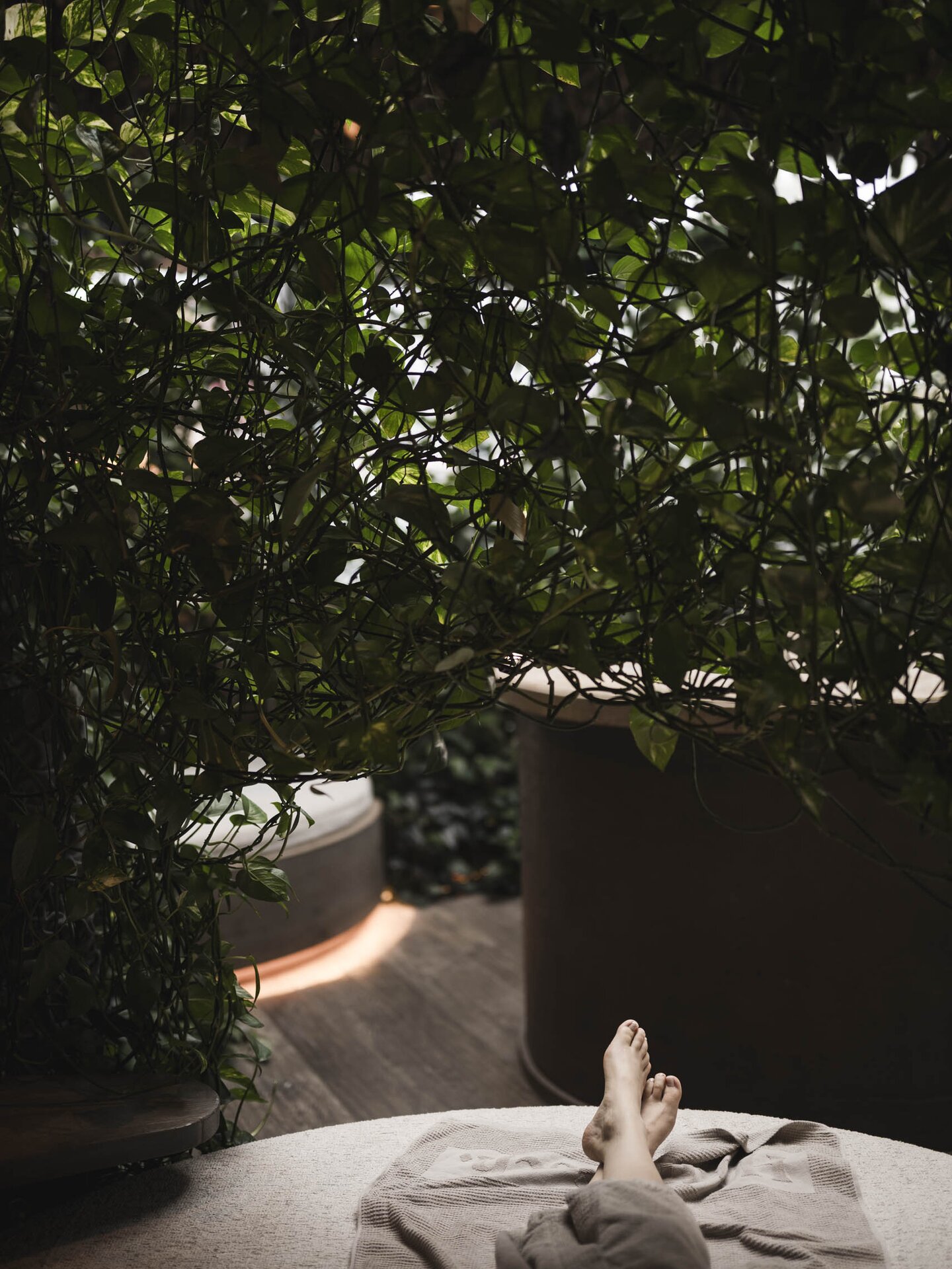 Person liegt mit Bademantel und überkreuzten Beinen im Kuschelnest, das von echten grünen Pflanzen eingesäumt wird