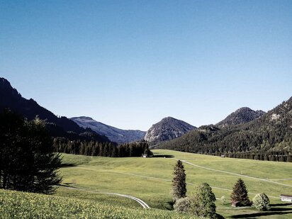 Straßen und Wege in Schattwald im Tannheimertal zwischen grünen Wiesen und Wälder | Der Engel in Tirol