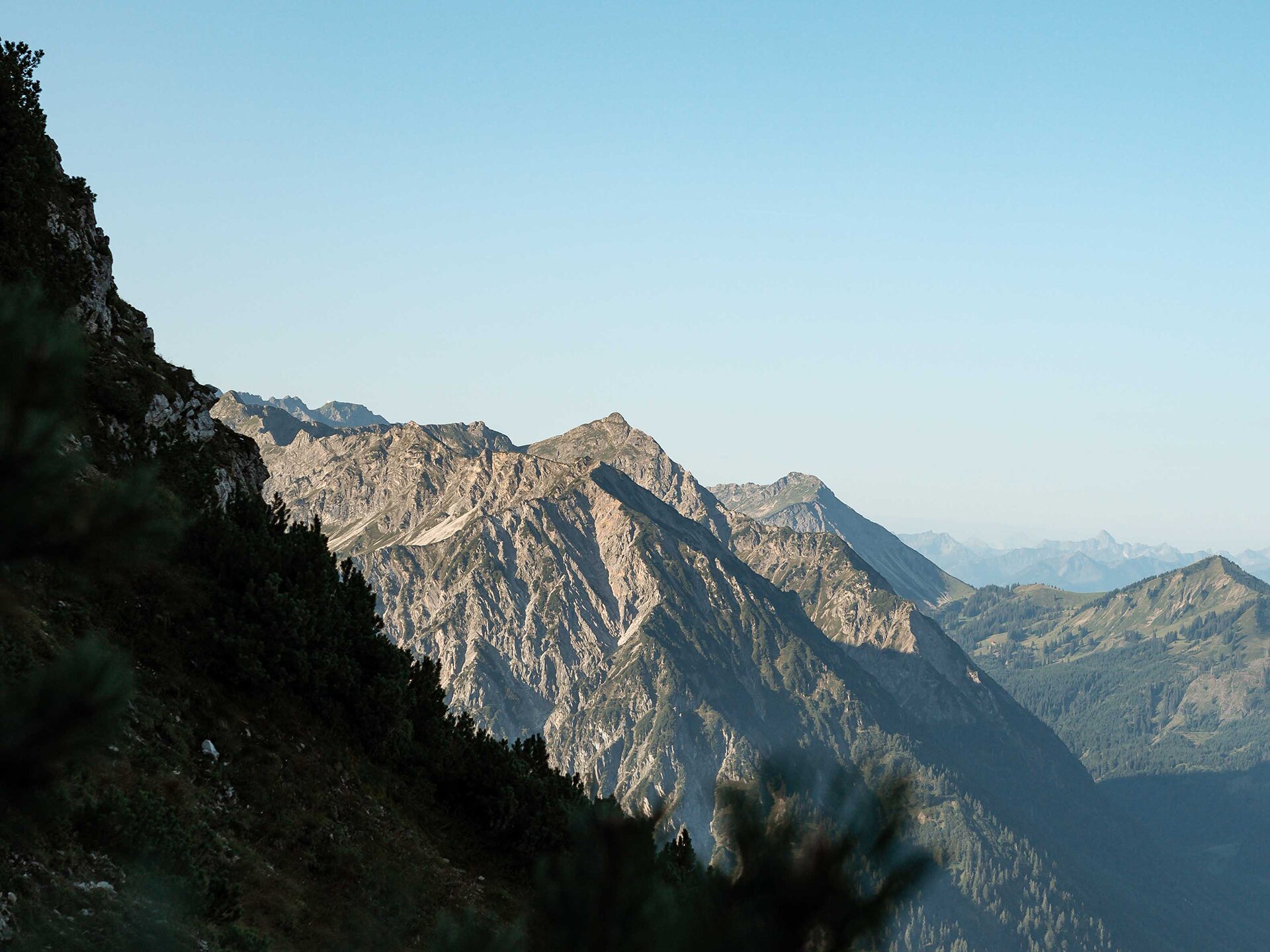 Iseler und Kuehgund im Sommer im Tannheimer Tal