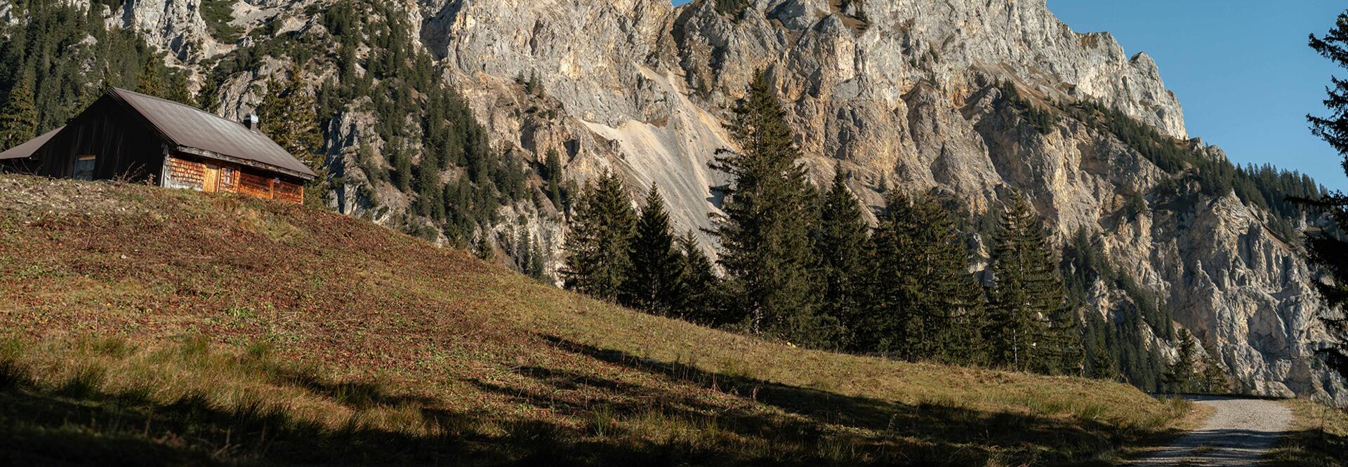 Traditionelle Holzhütte auf einer Bergwiese im HIntergrund die Bergspitzen im Tannheimer Tal 