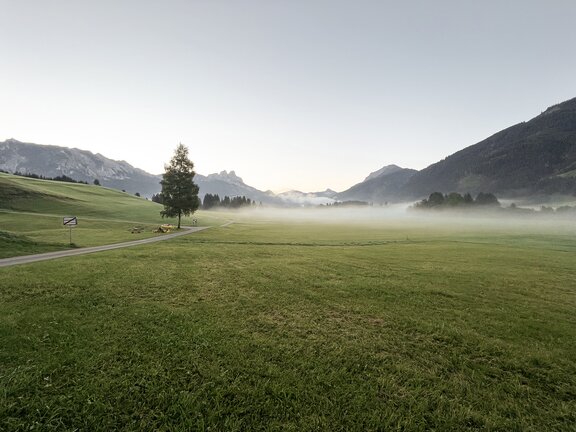 Morgennebel über grünen Wiesen und Bergpanorama im Frühlingsurlaub im Tannheimer Tal