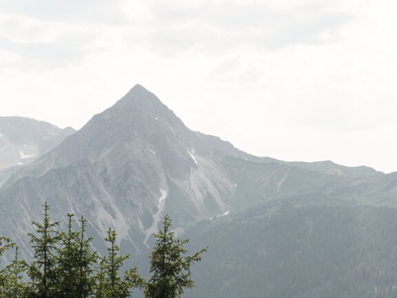 Berggipfel und bewaldete Berghänge im sommerlichen Tannheimer Tal