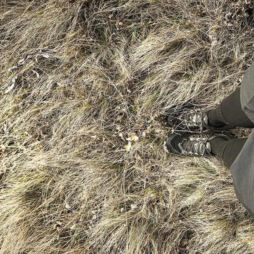 Person steht mit Trekking Schuhen im Frühling im vom Schnee zerdrückten Gras