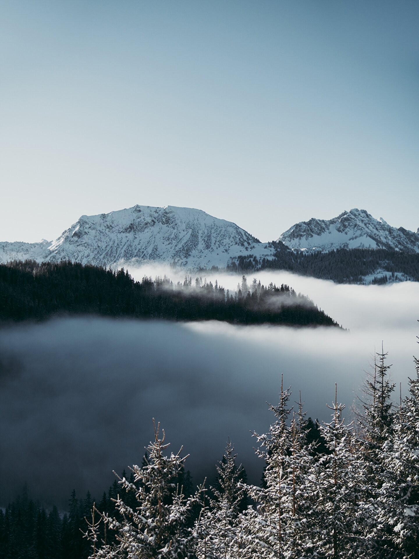 Berge schneebedeckt im Tannheimer Tal über den Wolken | Der Engel in Tirol
