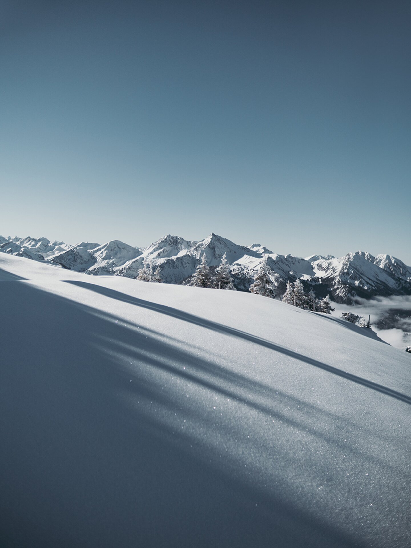 Frischer, glitzernder Powder - Neuschnee auf den Bergen im Tannheimer Tal | Der Engel in Tirol