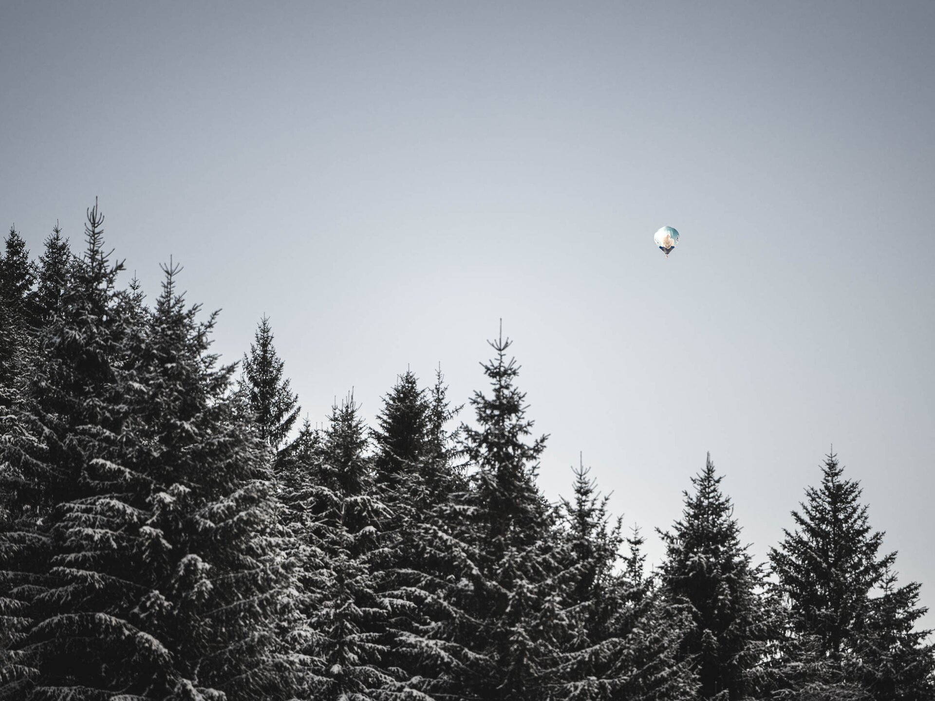 Heißluftballoon fliegt über schneebedeckte Bäume im Tannheimer Tal