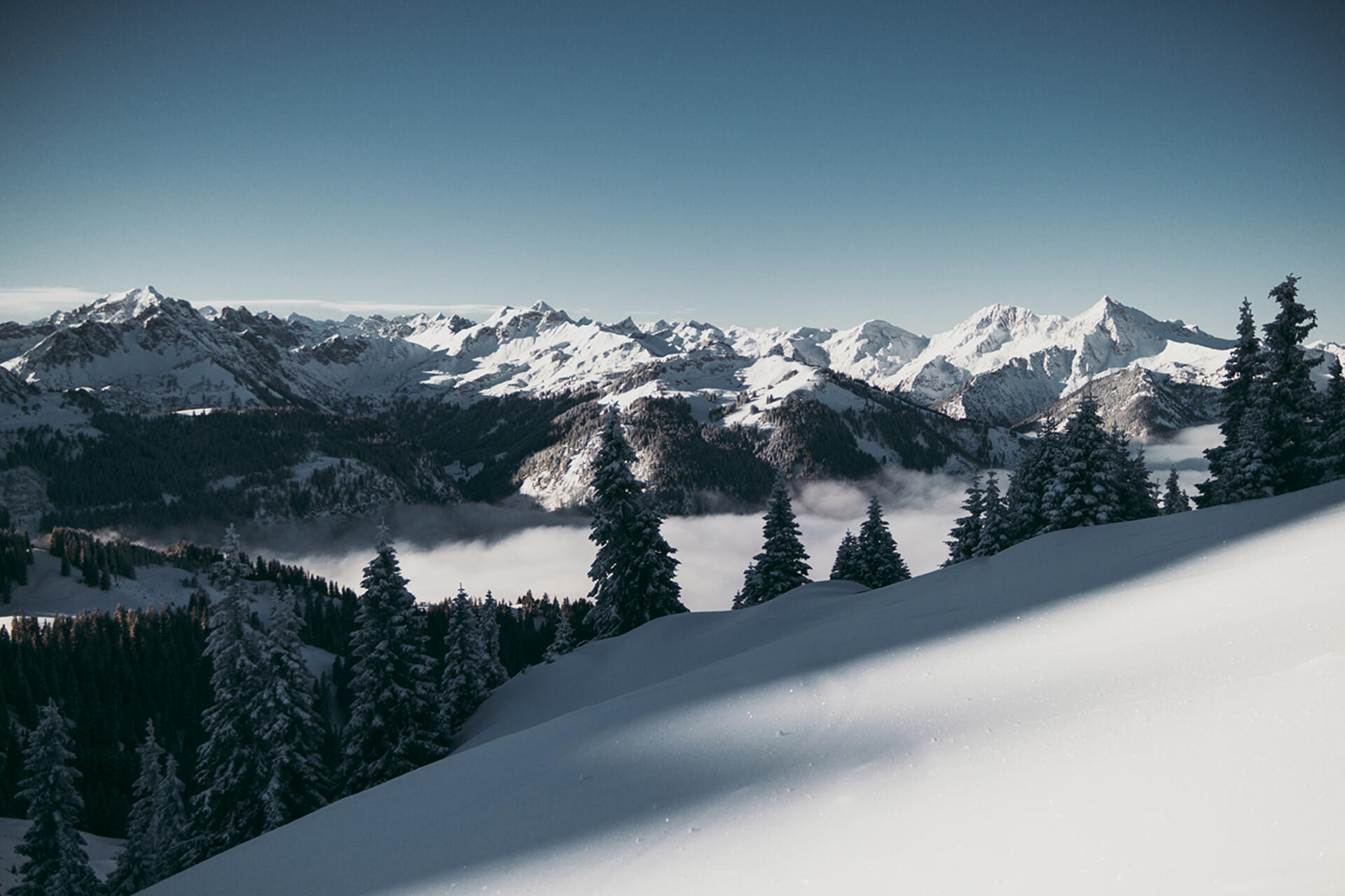 Neuschnee - Powder in den Allgäuer Alpen auf den Gipfeln über den Wolken | Der Engel in Tirol
