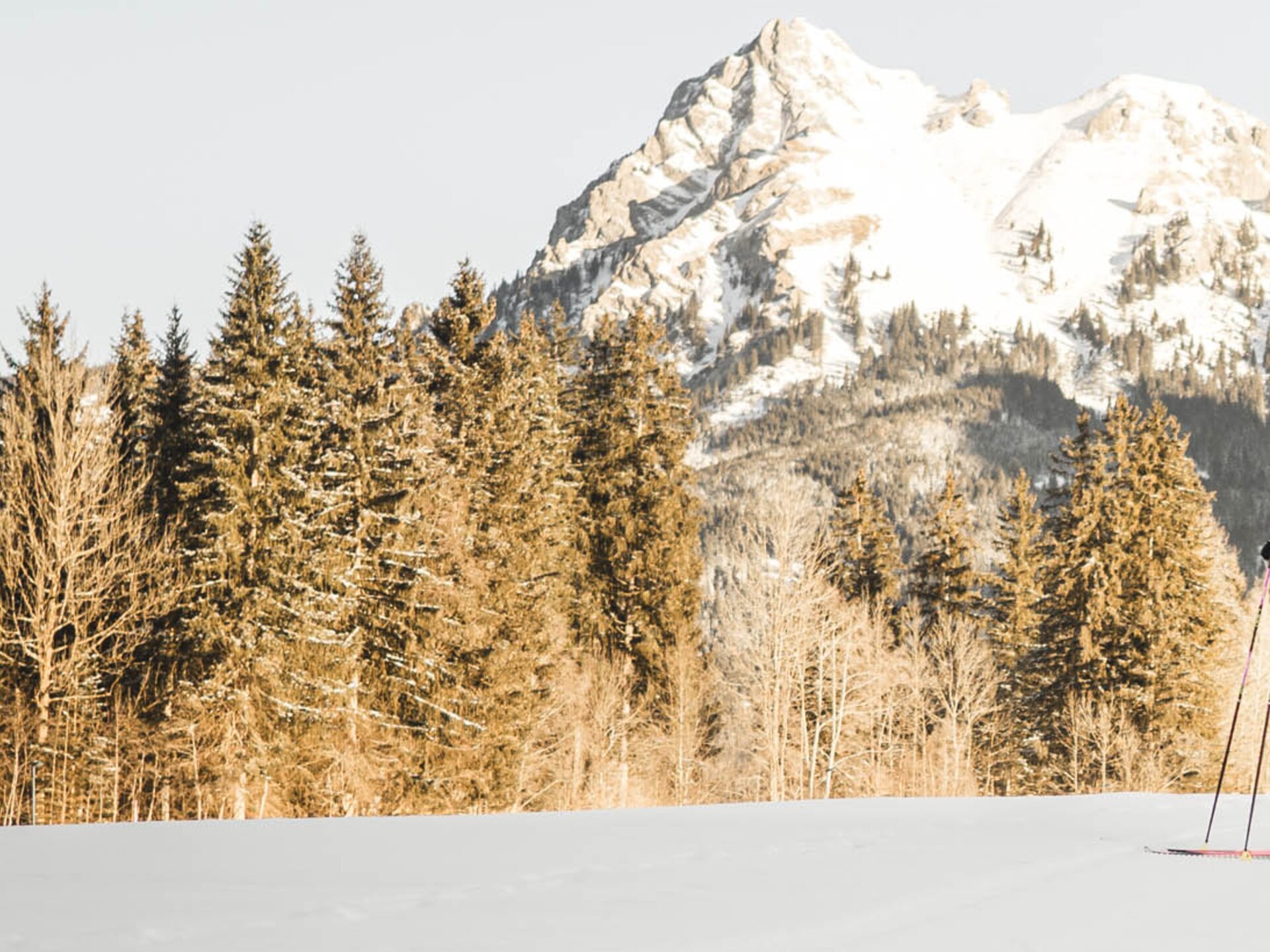 Langläuferin stehend auf Skatingloipe mit Blick auf die Allgäuer Alpen, Tannheimer Tal 