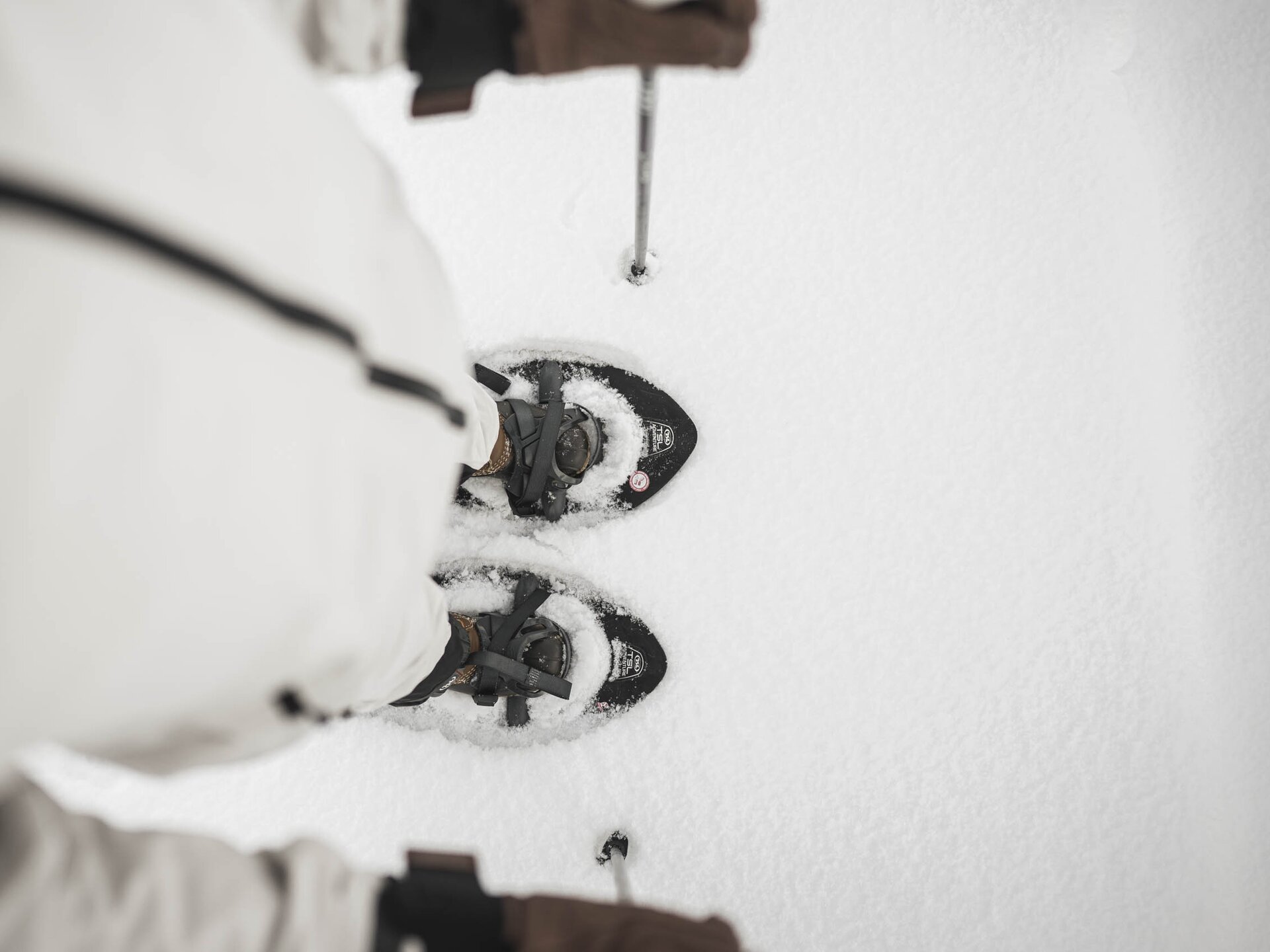 Person mit Schneeschuhen steht im frischen Pulverschnee