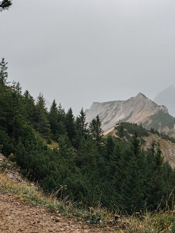 Gastgeber Gerold wandert mit Jagdausrüstung auf einem Bergweg durch die Tiroler Alpen
