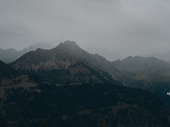 Nebelverhangene Berggipfel und bewaldete Hänge im Tannheimer Tal
